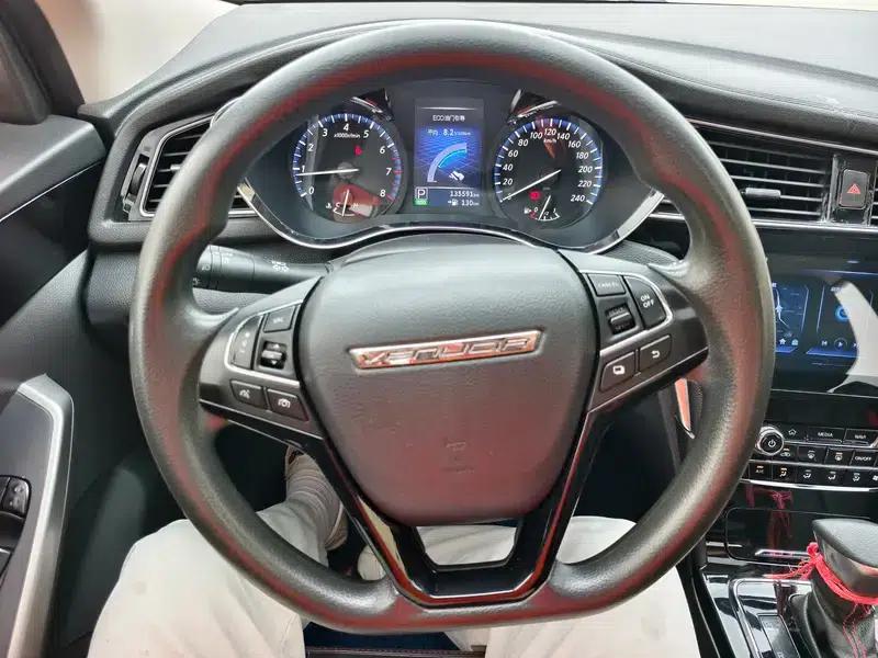 Venucia D60 2019 1.6L XL CVT Intelligent Elite Edition — миниатюра 15