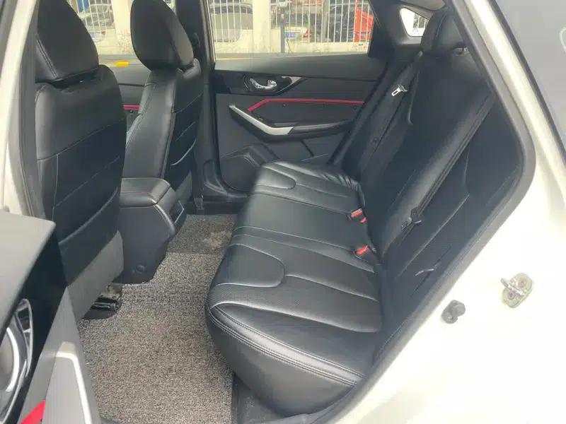 Venucia D60 2019 Model, 100,000 Glory Edition 1.6L Entry Manual Elegance Edition (National VI Emission Standard) — миниатюра 14