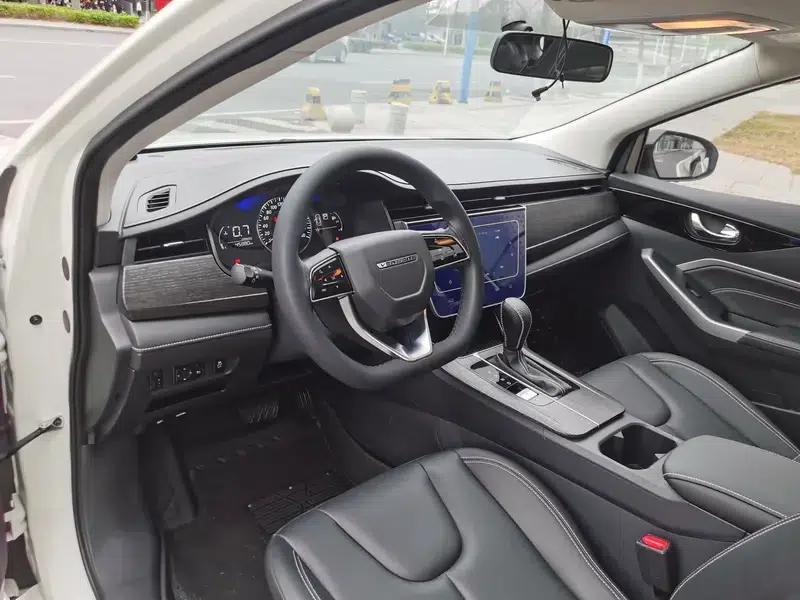 Venucia D60 2021 PLUS 1.6L XL CVT Elite Edition — миниатюра 10