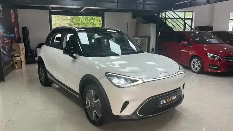 Smart Sprite #1 2023 Pro — миниатюра 3