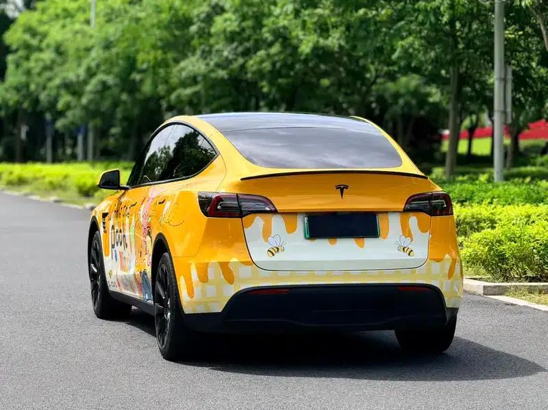 Model Y 2021 Long Range All-Wheel Drive — миниатюра 5