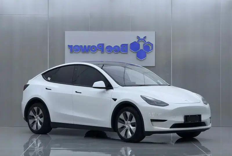 Model Y 2021 Standard Range Rear-Wheel Drive — миниатюра 3
