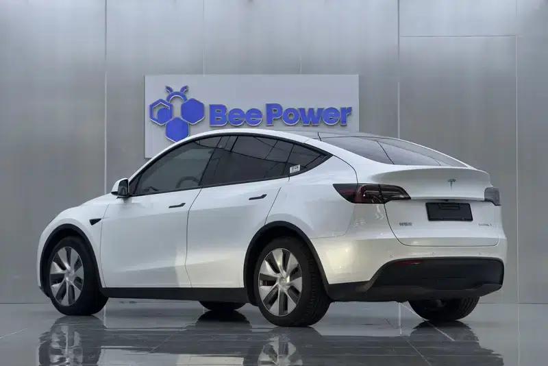 Model Y 2021 Standard Range Rear-Wheel Drive — миниатюра 5
