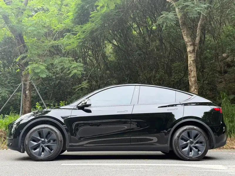 Model Y 2023 Long Range All-Wheel Drive — миниатюра 3