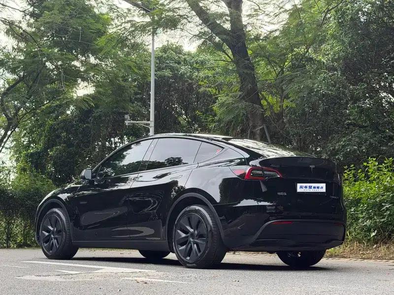 Model Y 2023 Long Range All-Wheel Drive — миниатюра 4