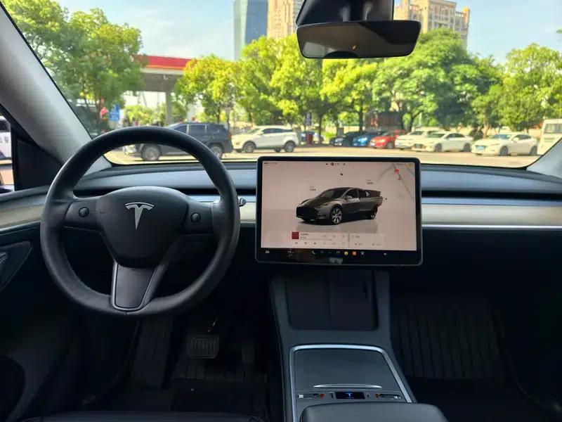 Model Y 2023 Long Range All-Wheel Drive — миниатюра 10