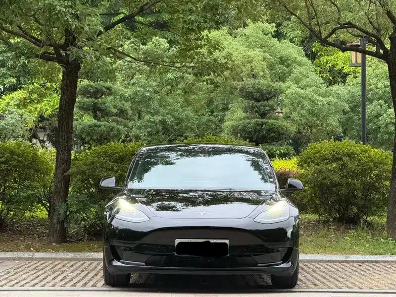 Model 3 2021 Standard Range Rear-Wheel Drive Upgrade 3D6 — миниатюра 2