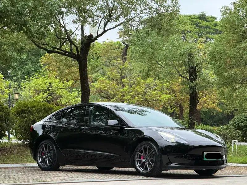 Model 3 2021 Standard Range Rear-Wheel Drive Upgrade 3D6 — миниатюра 3