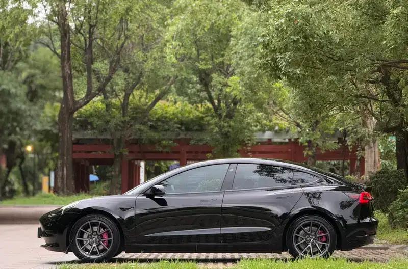 Model 3 2021 Standard Range Rear-Wheel Drive Upgrade 3D6 — миниатюра 4