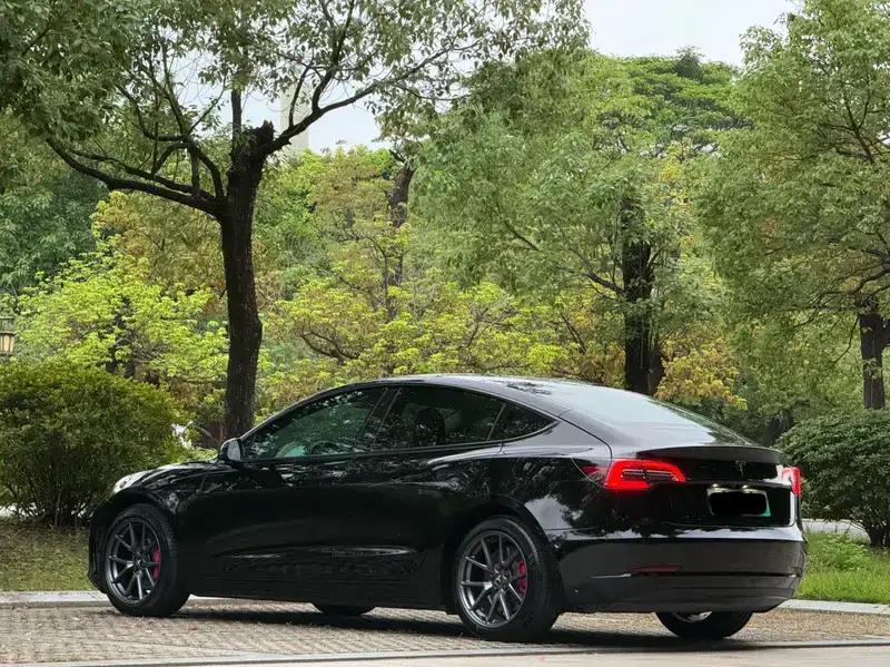 Model 3 2021 Standard Range Rear-Wheel Drive Upgrade 3D6 — миниатюра 5