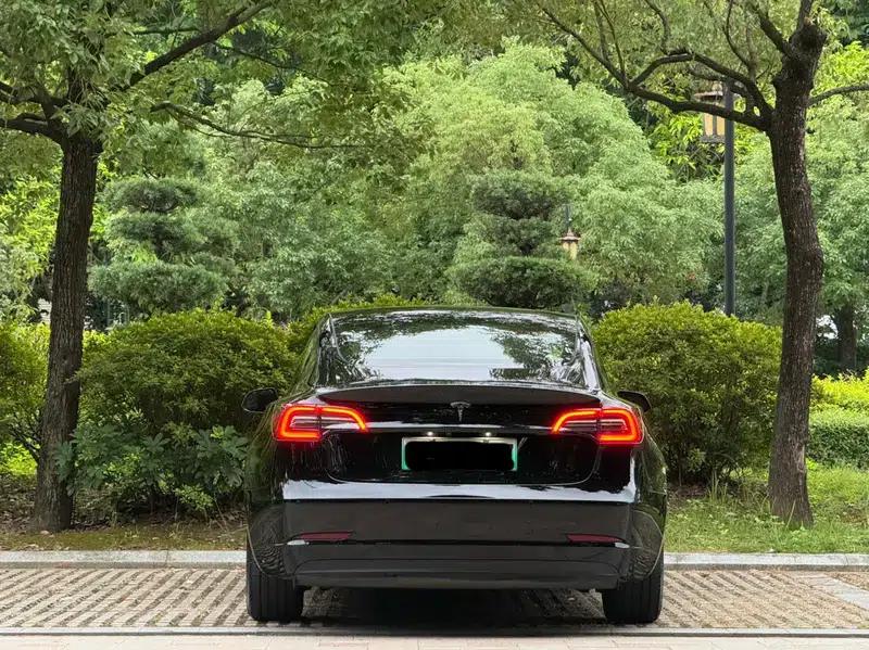 Model 3 2021 Standard Range Rear-Wheel Drive Upgrade 3D6 — миниатюра 6