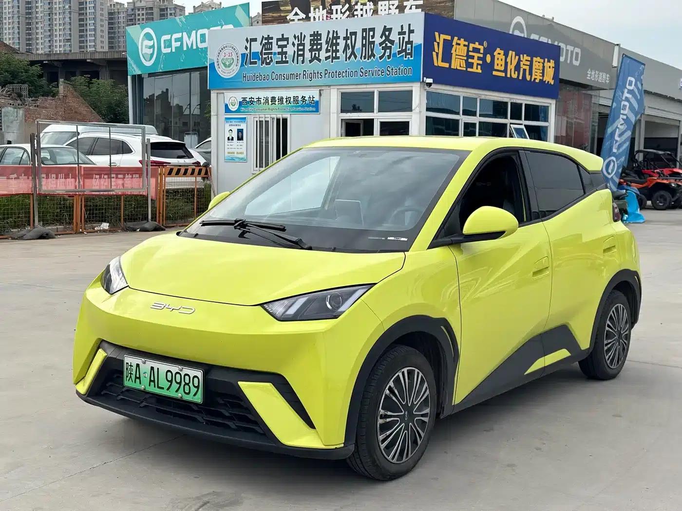 Seagull 2023 Vitality Edition — миниатюра 1