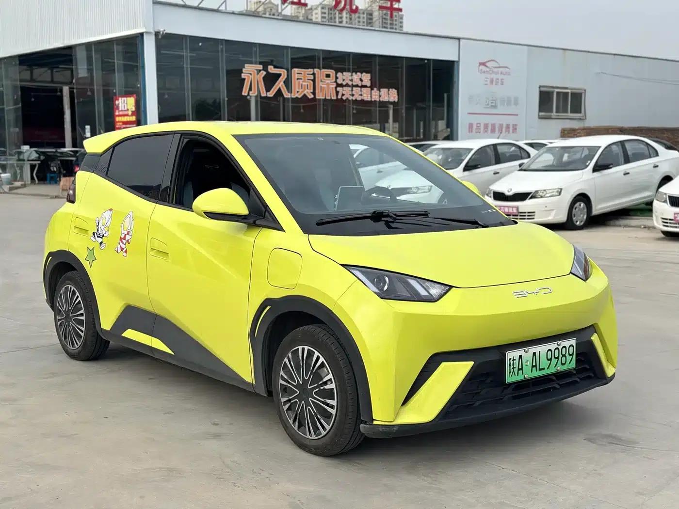 Seagull 2023 Vitality Edition — миниатюра 3