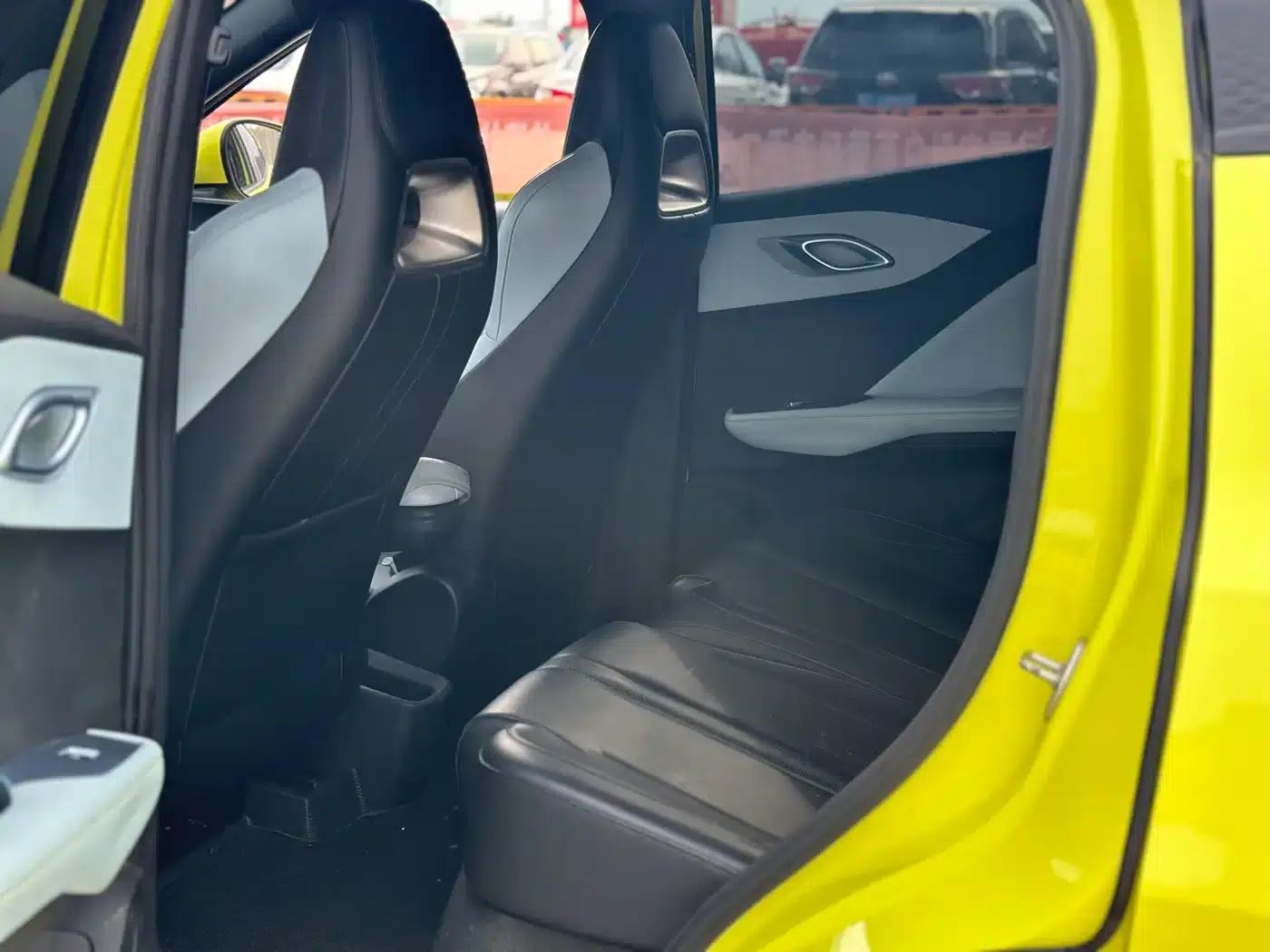 Seagull 2023 Vitality Edition — миниатюра 5