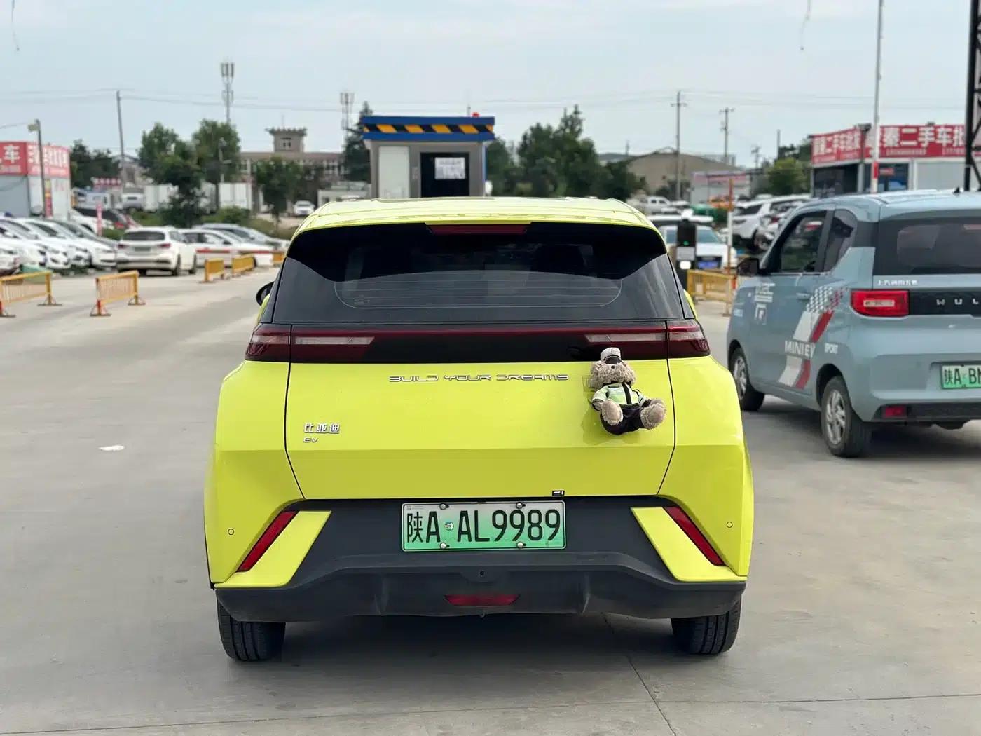 Seagull 2023 Vitality Edition — миниатюра 8