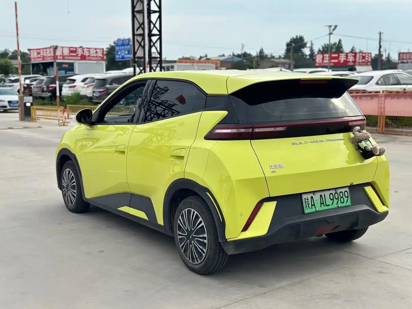 Seagull 2023 Vitality Edition — миниатюра 9