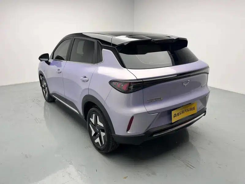 Bingo S 2025 Flagship Model 325km — миниатюра 5