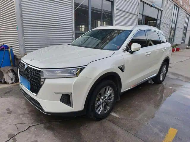 Venucia Star 2020 260T 48V Mild Hybrid Turbocharged Star Enjoy Edition