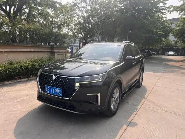 Venucia Star 2022 260T Automatic Star Edition