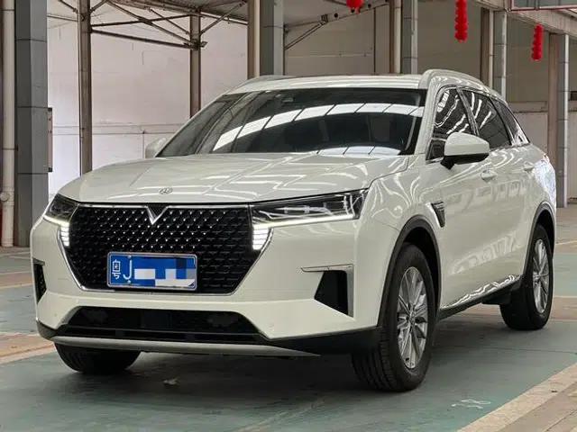 Venucia Star 2020 260T 48V Mild Hybrid Turbocharged Star Enjoy Edition