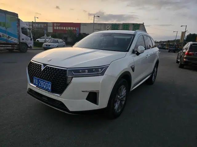 Venucia Star 2020 260T 48V Mild Hybrid Turbocharged Star Enjoy Edition