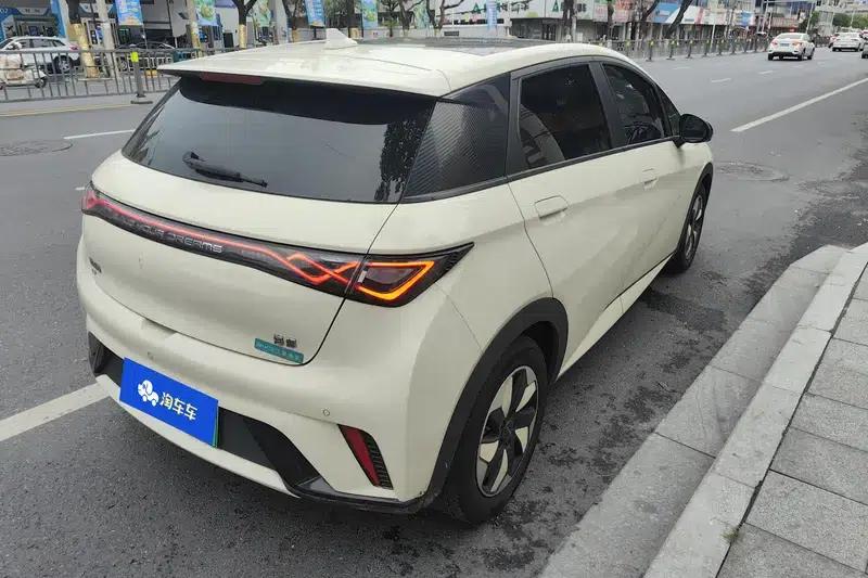 Dolphin 2025 420KM Fashion Edition — миниатюра 4