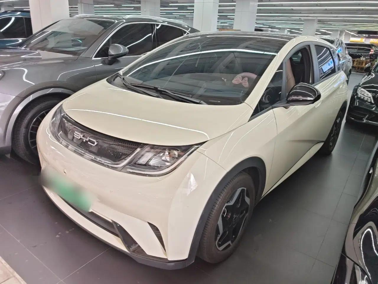 BYD Dolphin 2021 405 km Fashion Edition — миниатюра 1