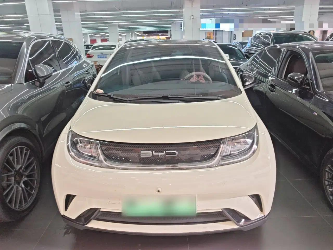 BYD Dolphin 2021 405 km Fashion Edition — миниатюра 2