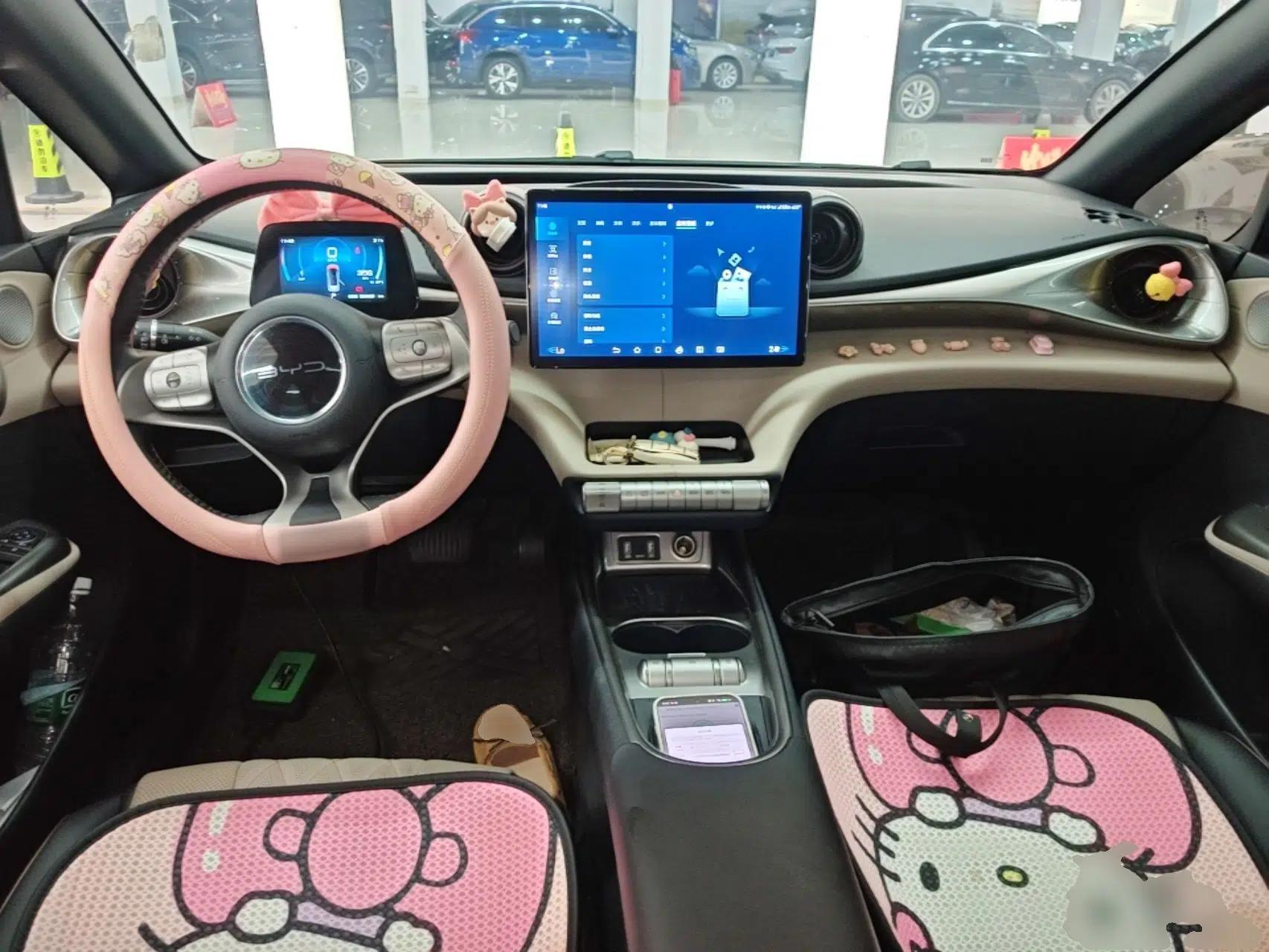 BYD Dolphin 2021 405 km Fashion Edition — миниатюра 12