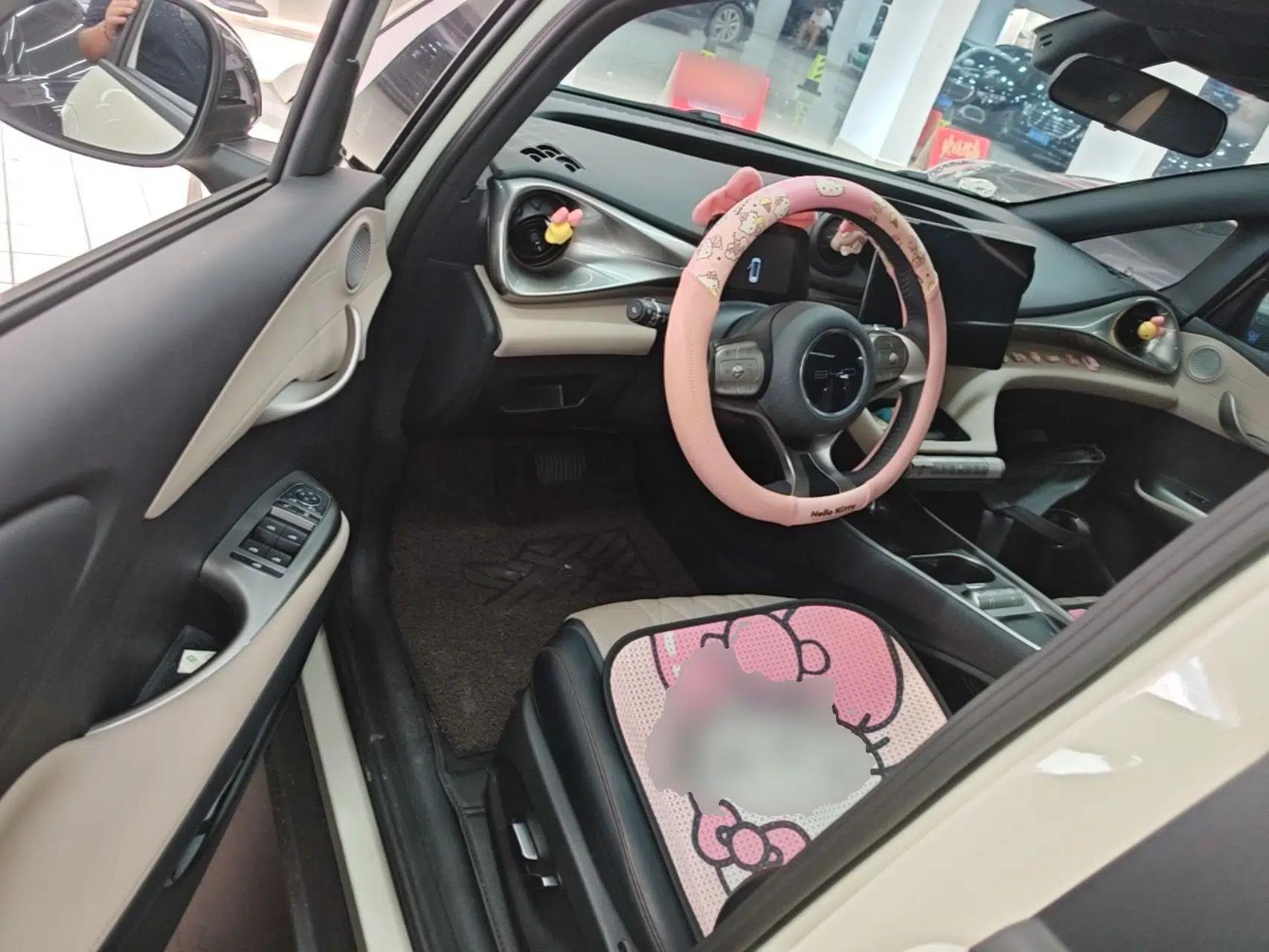 BYD Dolphin 2021 405 km Fashion Edition — миниатюра 18