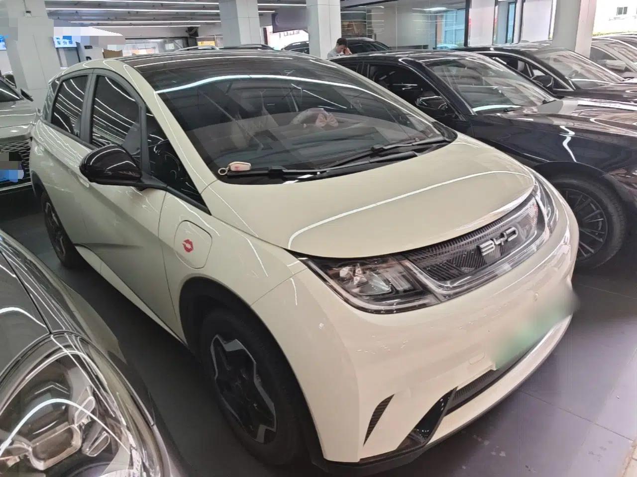 BYD Dolphin 2021 405 km Fashion Edition — миниатюра 3