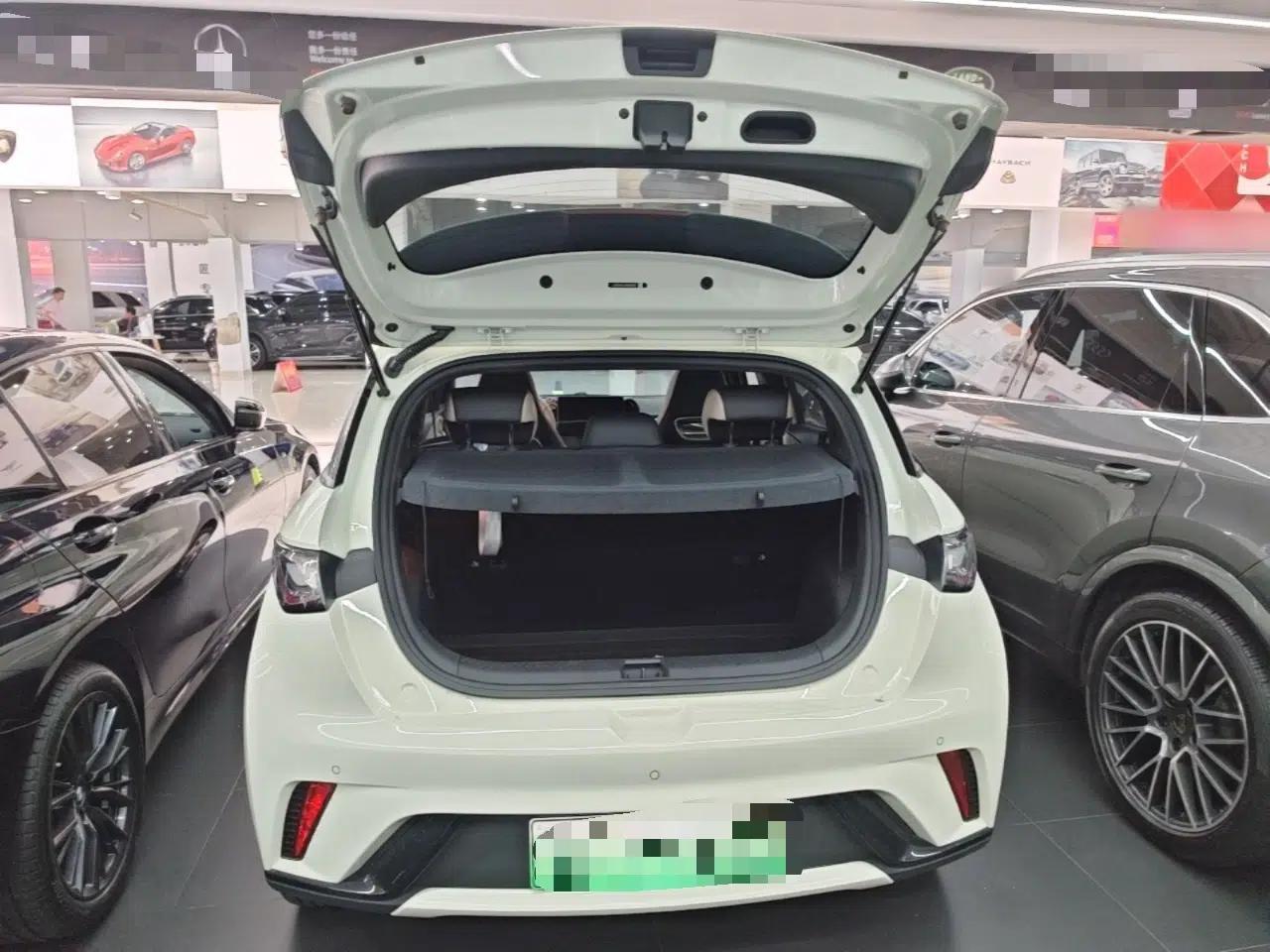 BYD Dolphin 2021 405 km Fashion Edition — миниатюра 22
