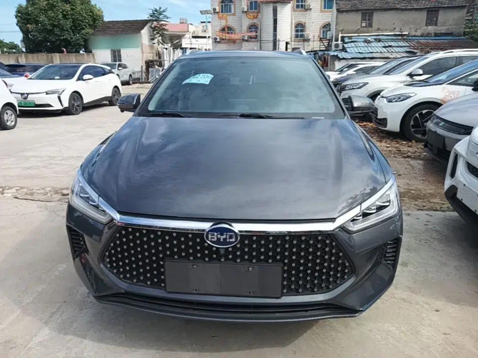 BYD e2 2021 Luxury Model — миниатюра 2