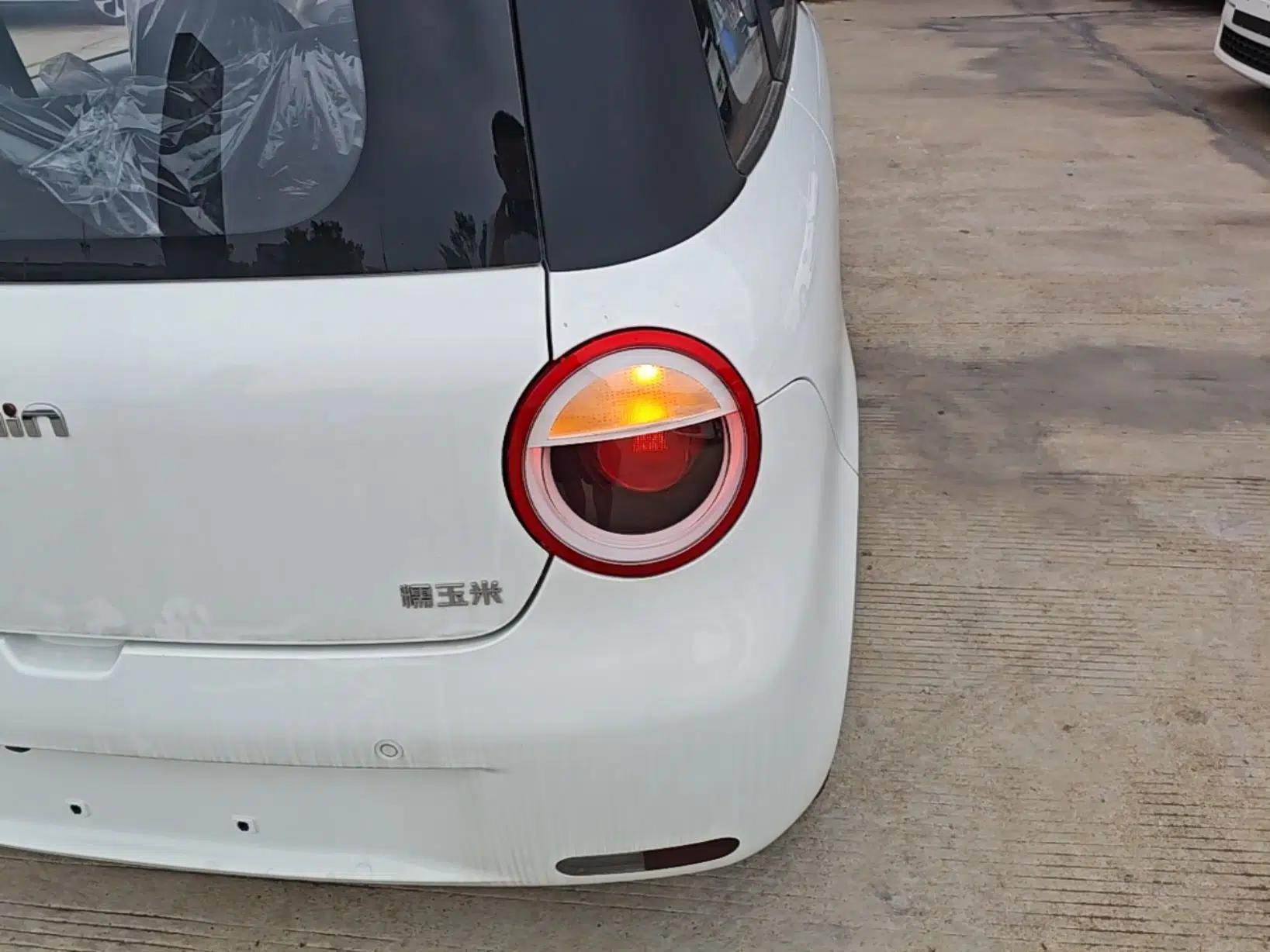 CHANGAN NEVO Lumin 2026 Model Treasure Edition 205km Passionate Beige Ningde — миниатюра 9