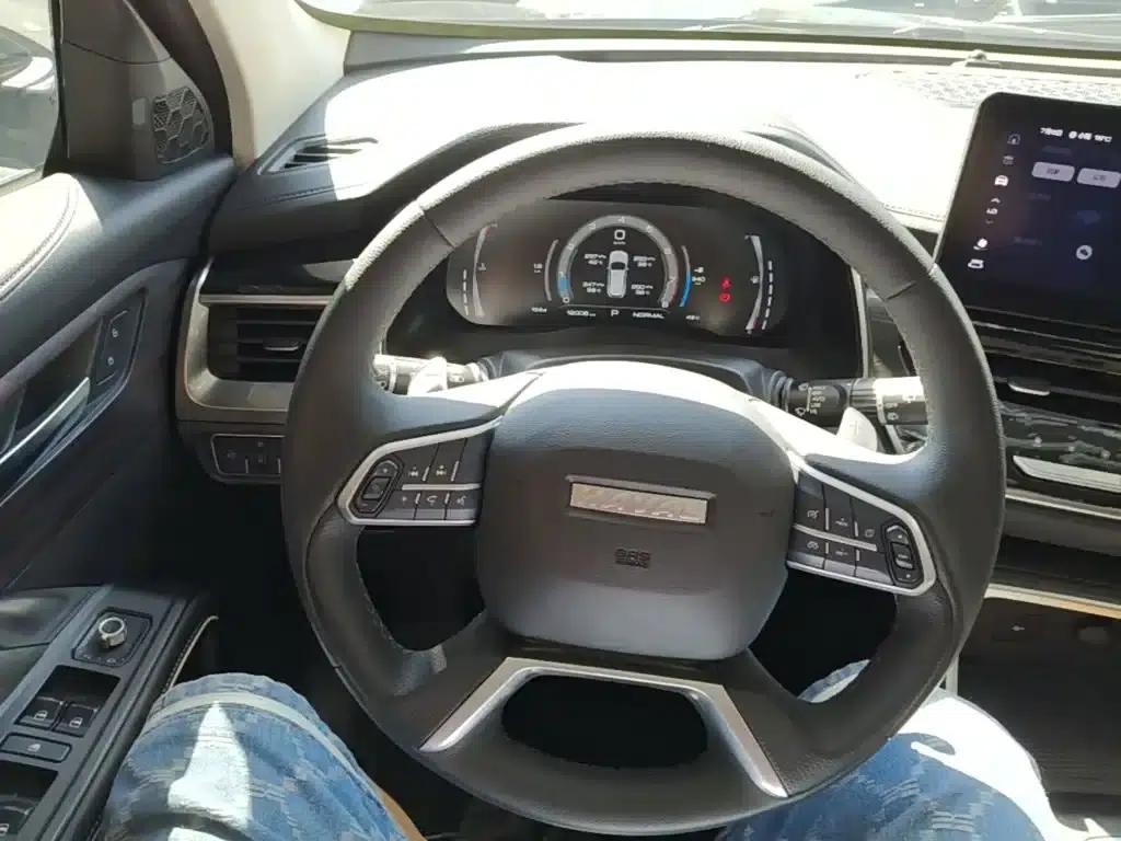 Haval H6 2021 National Trend Edition 2.0GDIT Automatic Champion Edition — миниатюра 11