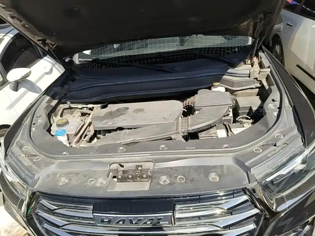 Haval H6 2021 National Trend Edition 2.0GDIT Automatic Champion Edition — миниатюра 20