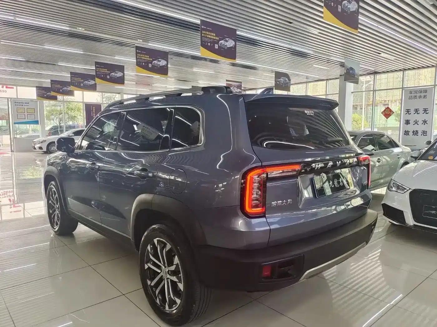 Haval Big Dog 2021 1.5T DCT 2WD Border Collie Edition — миниатюра 6