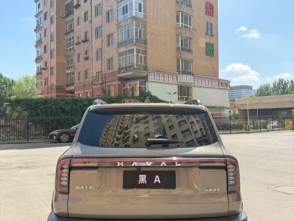 Haval Big Dog 2024 1.5T DCT Border Collie Edition — миниатюра 8