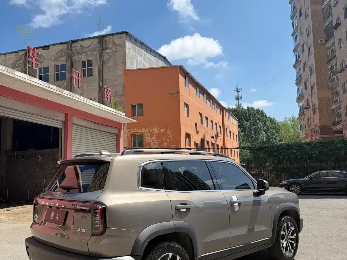 Haval Big Dog 2024 1.5T DCT Border Collie Edition — миниатюра 9