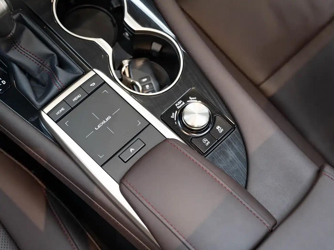 Lexus RX 2020 Facelift 300 AWD Elegant Edition — миниатюра 18