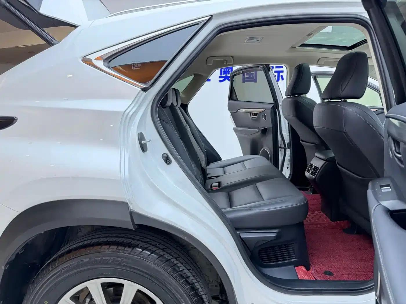 Lexus NX 2017 200 AWD Sport Edition — миниатюра 18