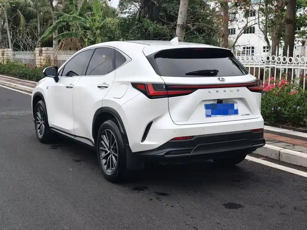 Lexus NX 2022 260 AWD Skyactiv-G — миниатюра 7