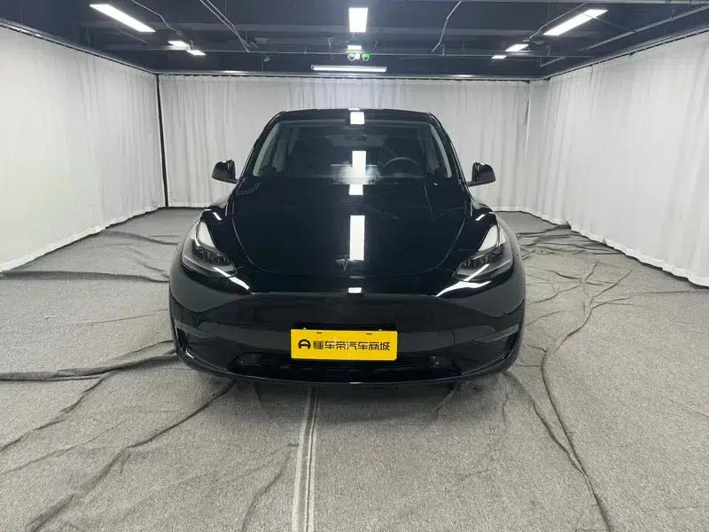 Model Y 2021 Long Range All-Wheel Drive 3D3/3D7 — миниатюра 2