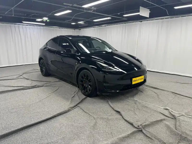 Model Y 2021 Long Range All-Wheel Drive 3D3/3D7 — миниатюра 3