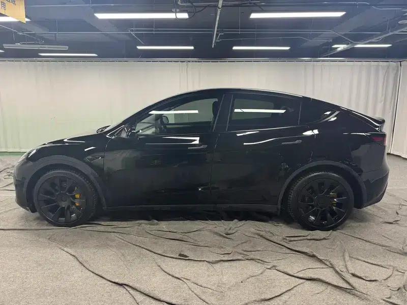 Model Y 2021 Long Range All-Wheel Drive 3D3/3D7 — миниатюра 4