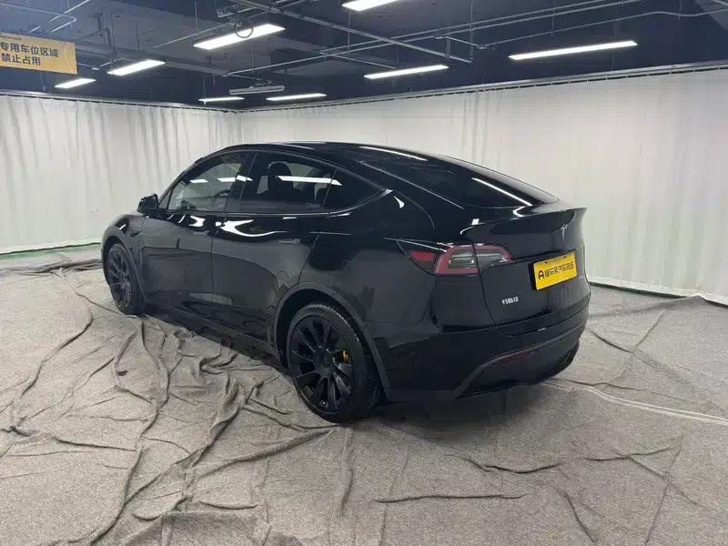 Model Y 2021 Long Range All-Wheel Drive 3D3/3D7 — миниатюра 5