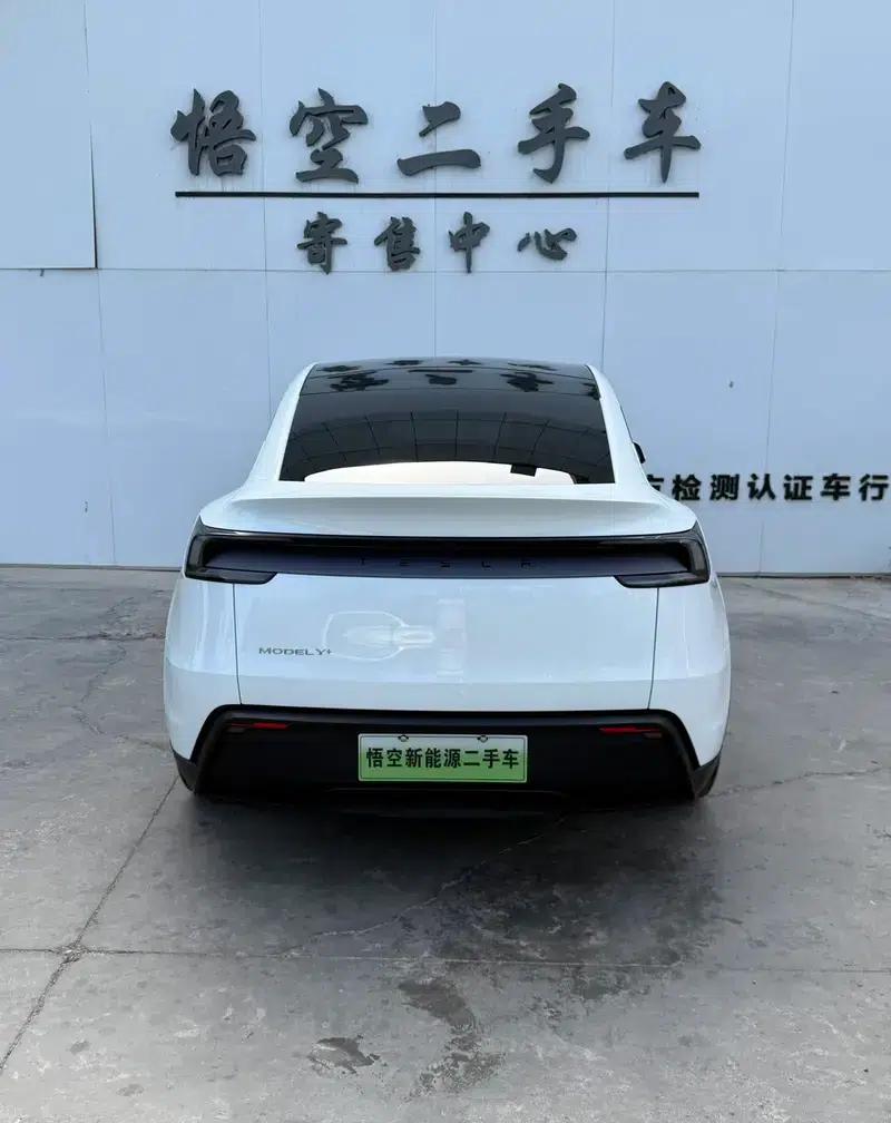 Model Y 2025 Long Range All-Wheel Drive First Edition — миниатюра 4