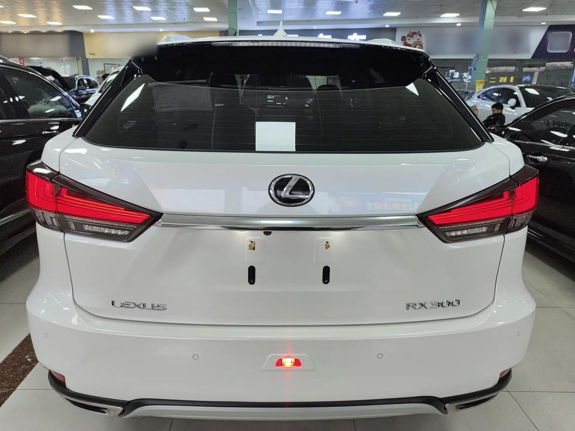 Lexus RX 2020 300 Two-Wheel Drive Comfort Edition China VI Standard — миниатюра 5