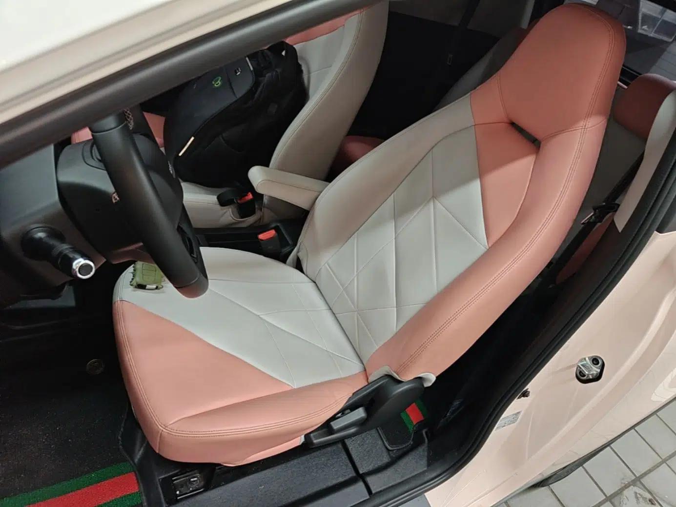Chery QQ Little Ant 2022 Revised Version Sweet Pink Edition Half-Sugar Version Lithium Iron Phosphate 30.7 kWh 30 kW 301 km — миниатюра 17