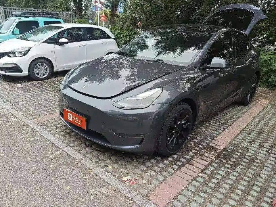 Model Y 2021 Long Range All-Wheel Drive — миниатюра 1